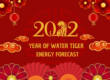 year of water tiger energy forecast 2022